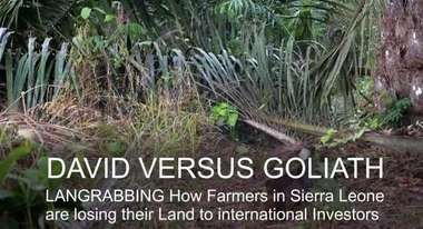 David versus Goliath: How farmers in Sierra Leone are fighting against Landgrabbing