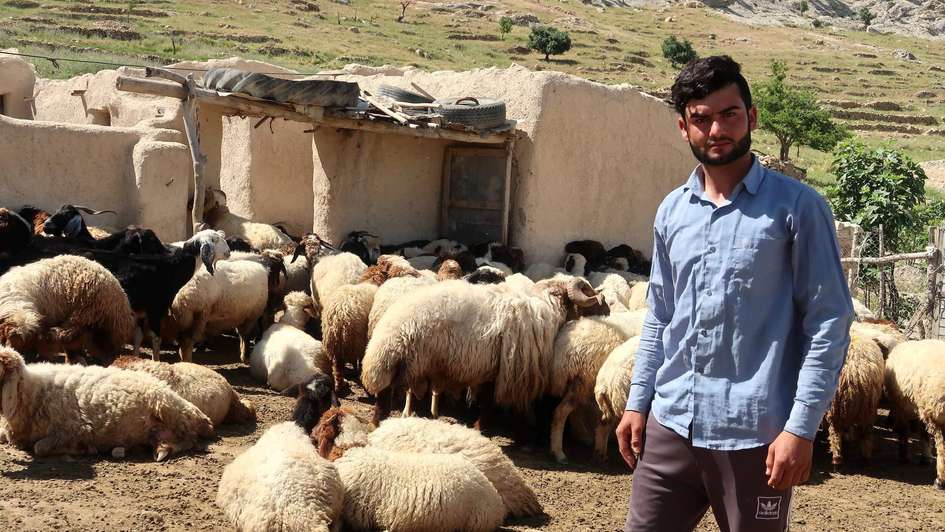 A young shepherd in Sinjar, Iraq