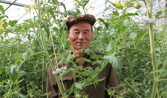 Landwirtschaft in Nordkorea