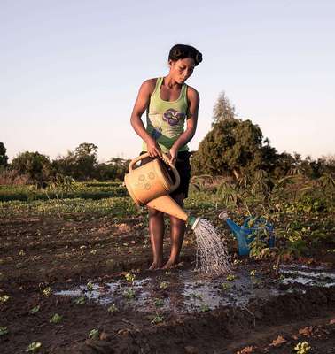 A woman watering a field in Toliara, Madagascar.