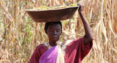 Dramatic situation in South Sudan: Smallholders cannot survive on the meagre harvest. For many, the last refuge from hunger is flight.