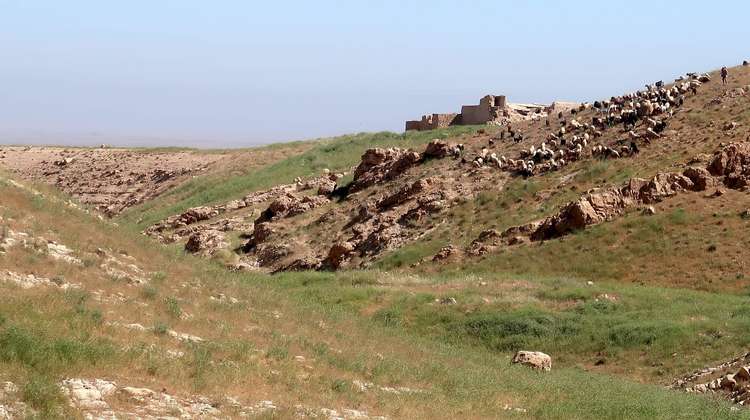 Shepherd village in Sinjar, Nineveh Governorate, Iraq