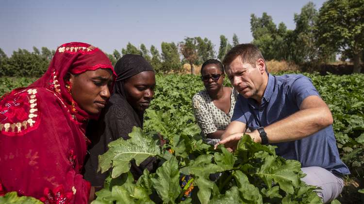 Matthias Mogge und malische Kleinbäuerinnen begutachten Pflanzen in einem Feld