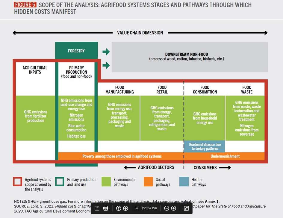 Agrifood Systems Stages and Pathways through which Hidden Costs Manifest