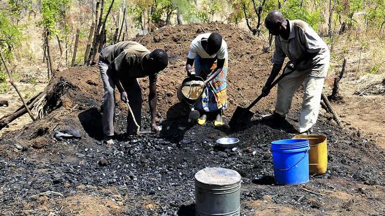 Men working in an illegal charcoal kiln in southern Malawi