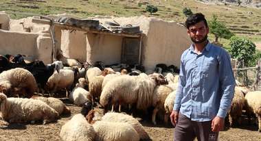 A young shepherd in Sinjar, Iraq