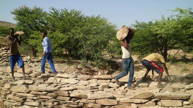Men carrying rocks and building a dam