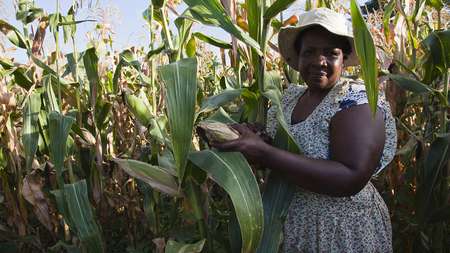 Lucy Marimirofa, a 53-year-old farmer in a cornfield