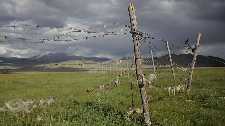 2020-zaun-land-inequalities-land-coalition-c-jason-taylor-ilc.jpg A fenced field