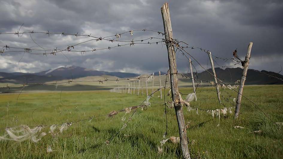 A fenced field