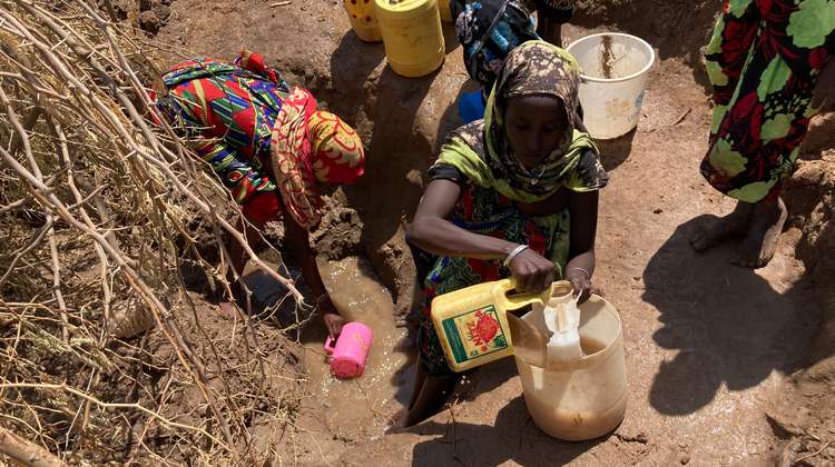 Women draw water from a muddy hole.