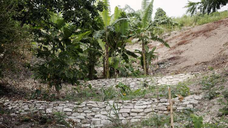 Working together with Welthungerhilfe, Haitians are building stone walls to protect the soil on the slopes. So food can grow here again. 
