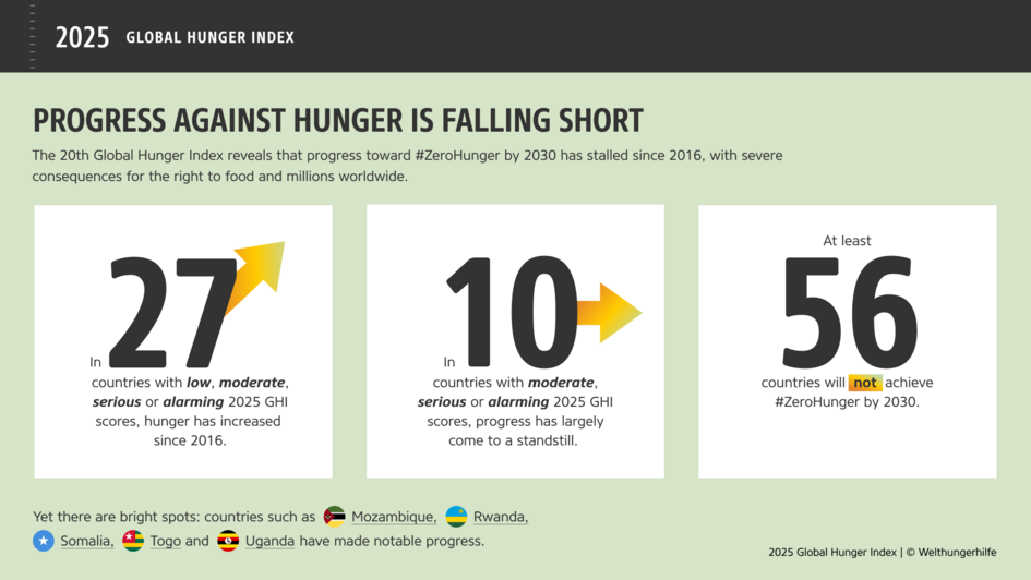 Graphic: Progress against hunger is falling short.