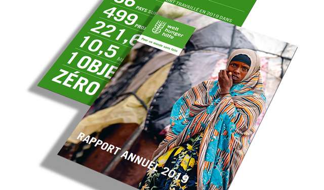 Rapport Annuel 2019