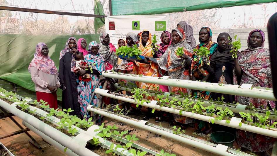 Women from internally displaced families are growing vegetables using hydroponic gardens in Camp Zamzam in North Darfur 