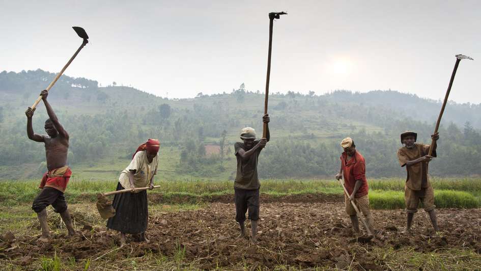 Farmers are working on a field in Ruanda.