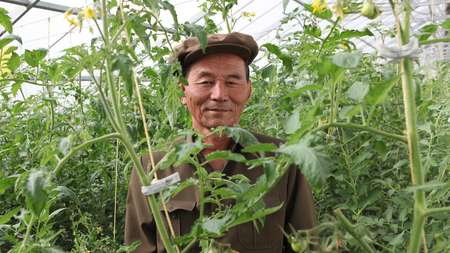 Landwirtschaft in Nordkorea