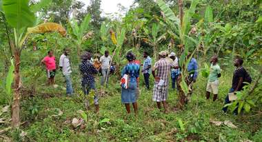 People are standing in a tropical forest.