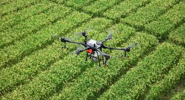Eine Drohne fliegt über eine landwirtschaftliche Anbaufläche.