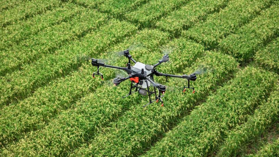 Eine Drohne fliegt über eine landwirtschaftliche Anbaufläche.