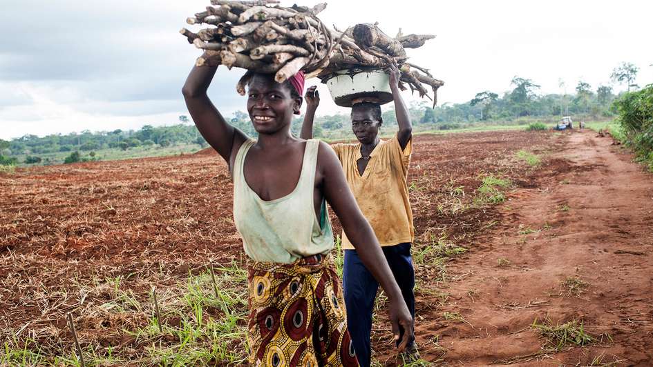 Farmers at work on their field in Boukoko, Central African Republic.