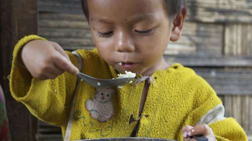 Ein kleiner Junge isst Reis aus dem Topf