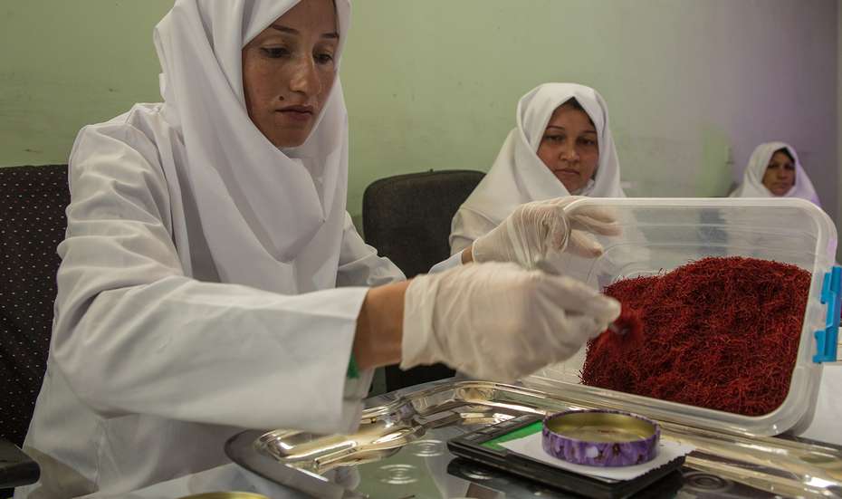 Shahnaz Zaidee weighs saffron, Afghanistan.