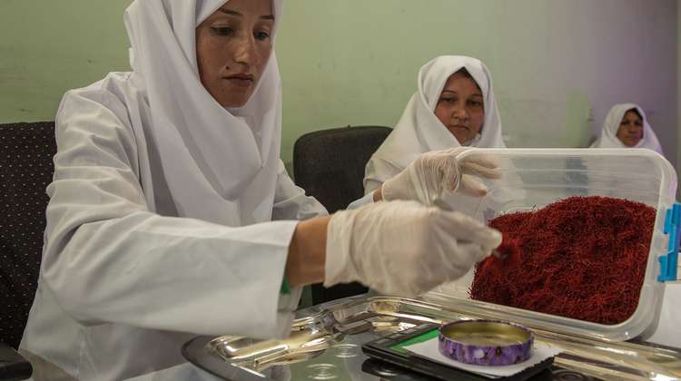 Shahnaz Zaidee weighs saffron, Afghanistan.