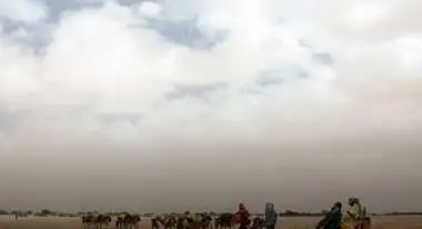 Frauen mit ihren Eseln auf dem Weg zu einer Wasserstelle