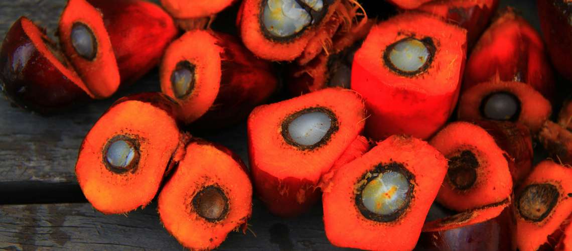 Palm oil fruit cut open: red on the outside, white on the inside