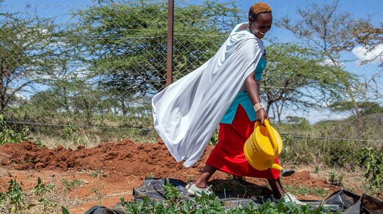 A Kenyan woman watering plants