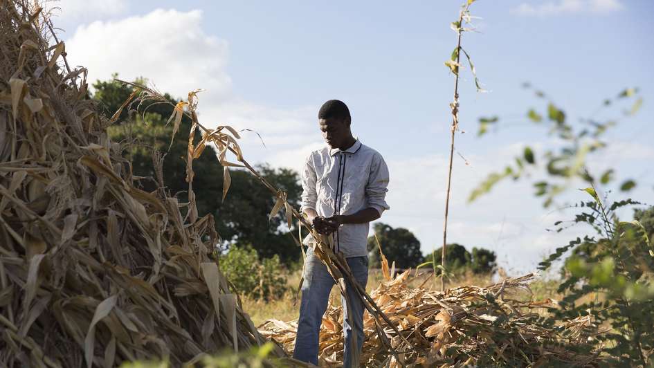 22-year-old Hajj Thomson holds a dried corn plant up.