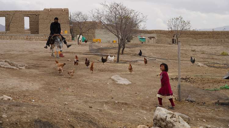 A girl with a red dress, in the background one can see some chickens and a man riding a donkey.