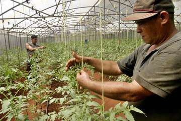 Welthungerhilfe helped with seeds, know-how and materials: here is a greenhouse for the seedlings.