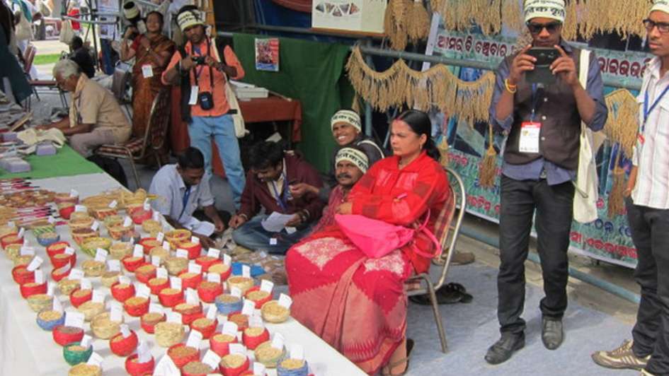 Marktstand beim Traditional Biodiversity Seeds Festival