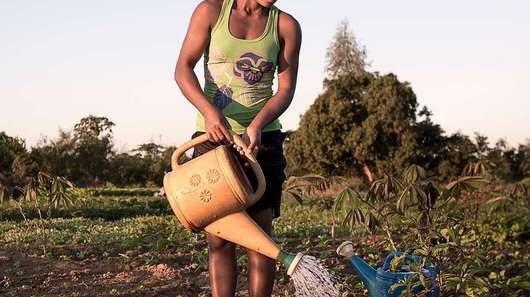 Eine Frau wässert ein Feld in Tulear/Madagaskar
