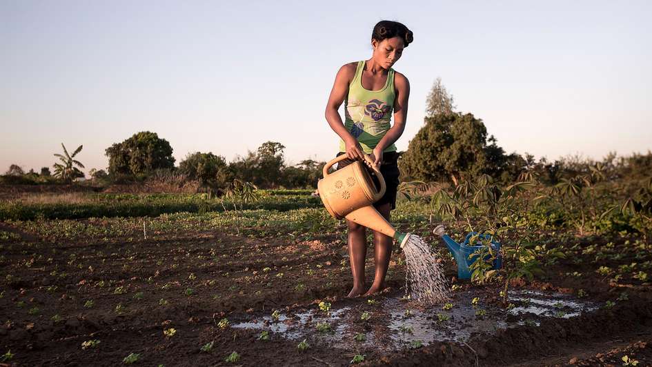 Eine Frau wässert ein Feld in Tulear/Madagaskar