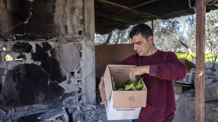 Ein Mann steht vor seinem zerstörten Haus und hält einen Karton mit frisch geerntetem Obst.