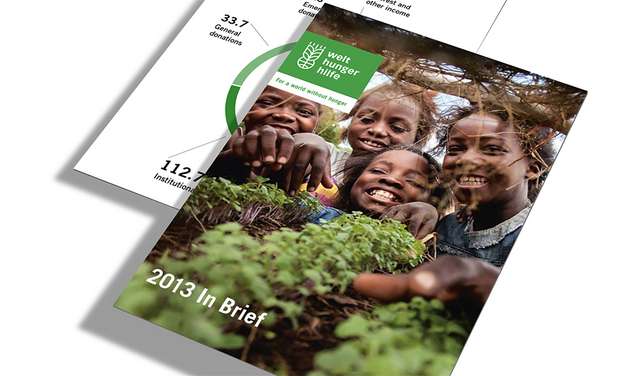 2013 organization annual report in brief en