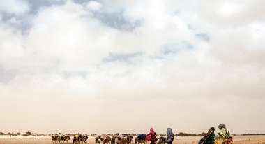 Frauen mit ihren Eseln auf dem Weg zu einer Wasserstelle