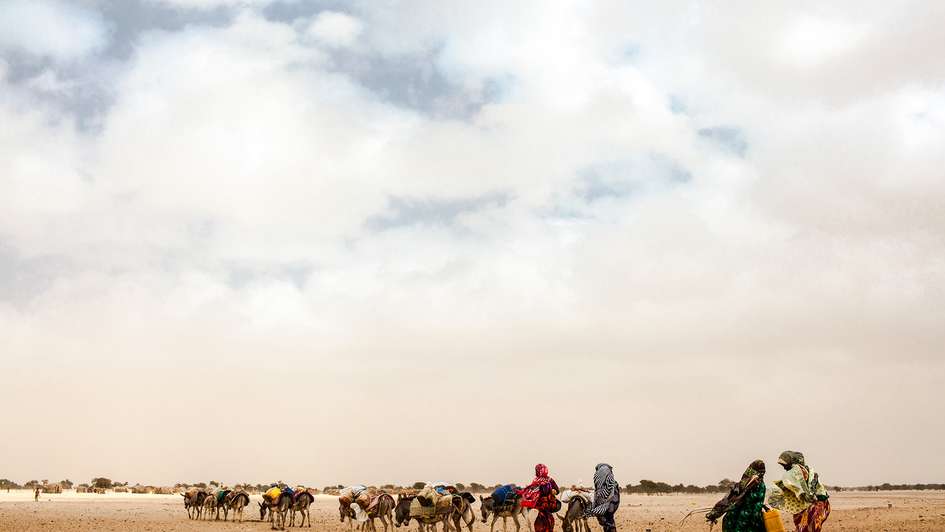 Frauen mit ihren Eseln auf dem Weg zu einer Wasserstelle