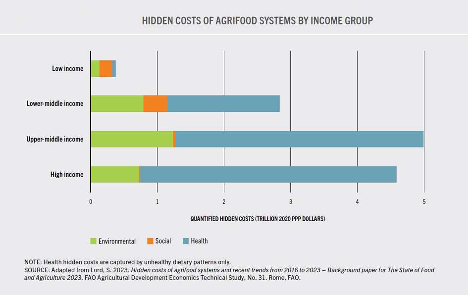 Hidden Cost by Income Group