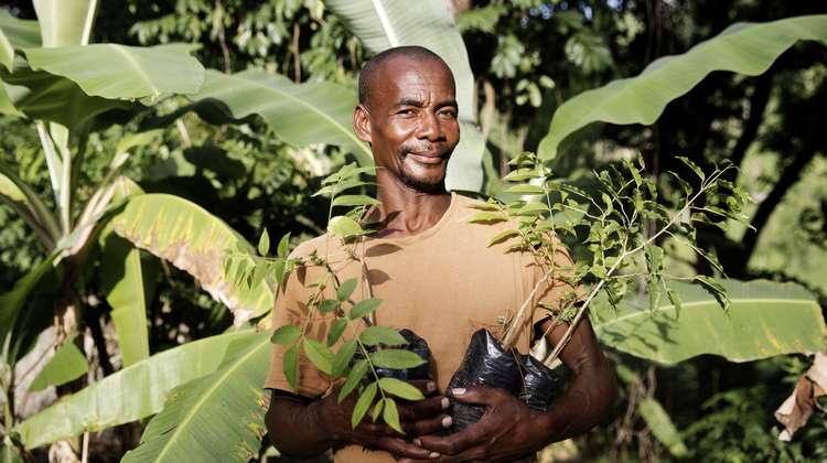 A farmer from Haiti with tree seedlings