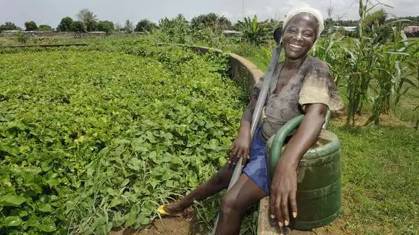 2011-liberia-feld-ernte-frau-lacht.jpg Eine Frau bei der Ernte in Liberia, 2011.