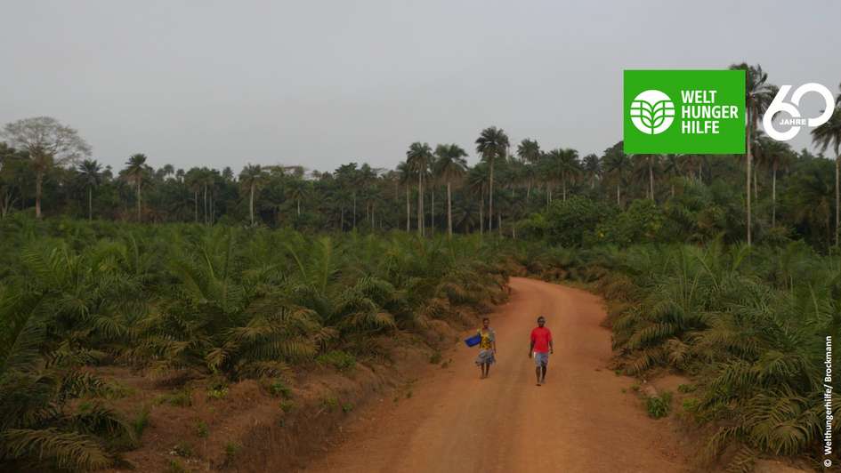 Lokale Anwohner laufen durch eine Palmölplantage in Sierra Leone.