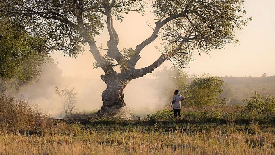 A woman from Madagascar stands under a large tree.