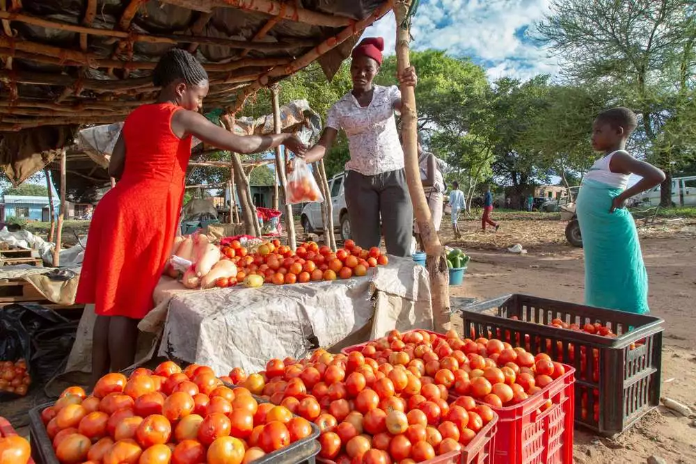 food prices have raised so rapidly