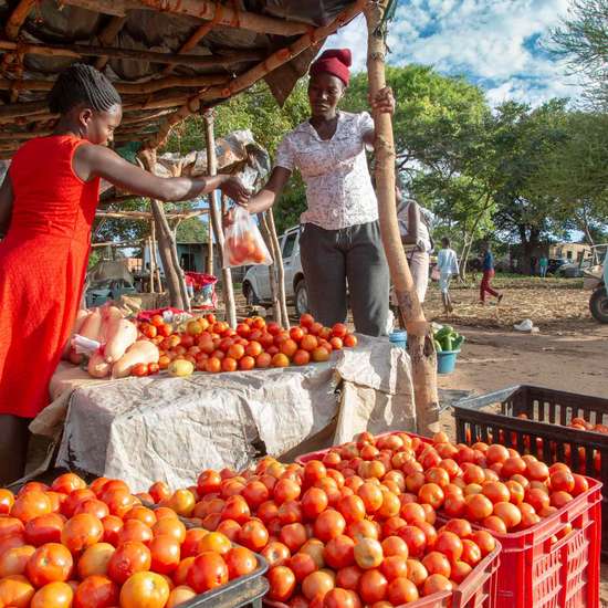 Durch den Anstieg der Lebensmittelpreise können sich die Menschen nur noch das Nötigste leisten, Simbabwe.