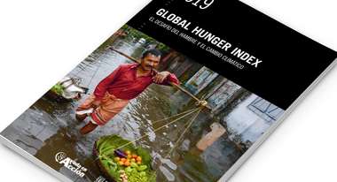 Global Hunger Index 2019 (español)