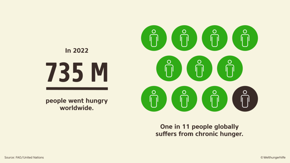 Infographic with following text: In 2022 735 M people went hungry worldwide. One in 11 people globally suffers from chronic hunger. 